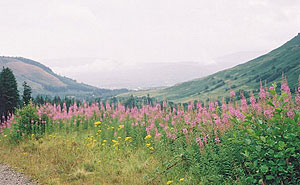 View from the trail up Ben Nevis